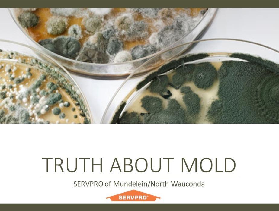 dishes of different colors of Mold with the words Truth about Mold with SERVPRO logo