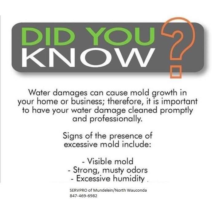 Words Did You Know? and words explaining water damage can cause mold growth
